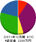 鯰田工務店 貸借対照表 2011年12月期