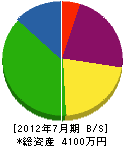 川野電機 貸借対照表 2012年7月期