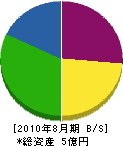 武藤開発 貸借対照表 2010年8月期