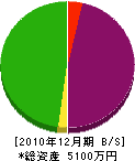 小俣組 貸借対照表 2010年12月期