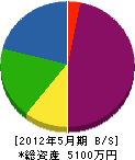 中村電工 貸借対照表 2012年5月期