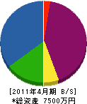 静岡田園 貸借対照表 2011年4月期