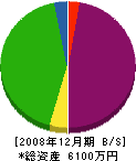 堺組 貸借対照表 2008年12月期