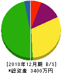 紫村工業 貸借対照表 2010年12月期
