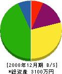 坂友材木店 貸借対照表 2008年12月期