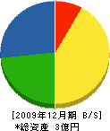 藤井鉄工建設 貸借対照表 2009年12月期