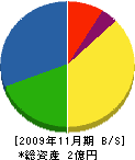 三晃建業 貸借対照表 2009年11月期