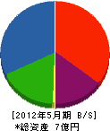 丸庄工務所 貸借対照表 2012年5月期