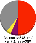 上田工業 損益計算書 2010年12月期