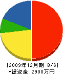 中田土建 貸借対照表 2009年12月期
