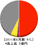 田中守商店 損益計算書 2011年6月期
