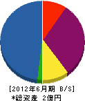 田野井造園 貸借対照表 2012年6月期