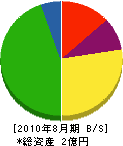 松崎土木 貸借対照表 2010年8月期