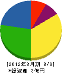九州エルピー 貸借対照表 2012年8月期