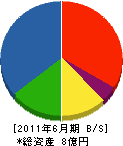 角田建設工業 貸借対照表 2011年6月期
