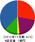 国松工務店 貸借対照表 2012年11月期