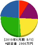 伸晃建設 貸借対照表 2010年6月期