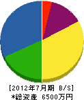 坂井建設 貸借対照表 2012年7月期