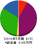 篠田造園土木 貸借対照表 2010年5月期