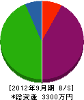 瀬戸内電気工事 貸借対照表 2012年9月期