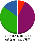 川島建設 貸借対照表 2011年1月期