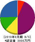 岡本ポンプ店 貸借対照表 2010年8月期