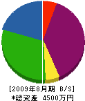 岸田興産 貸借対照表 2009年8月期