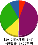 増川電気商会 貸借対照表 2012年9月期