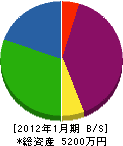 江口電気 貸借対照表 2012年1月期