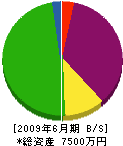 前田組 貸借対照表 2009年6月期