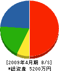 上野塗装工業 貸借対照表 2009年4月期