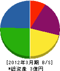 長島建設 貸借対照表 2012年3月期