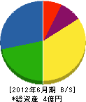 川原田工務店 貸借対照表 2012年6月期