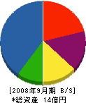 藤倉電気工業 貸借対照表 2008年9月期