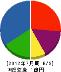 松山電機 貸借対照表 2012年7月期