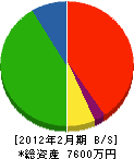 藤井商店 貸借対照表 2012年2月期