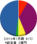 早川建設 貸借対照表 2013年1月期