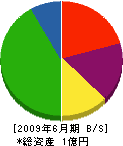 岡田商会 貸借対照表 2009年6月期