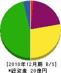 地田 貸借対照表 2010年12月期