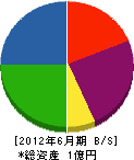 西京産業 貸借対照表 2012年6月期