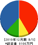 小沢工務店 貸借対照表 2010年12月期