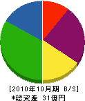 杉崎リース工業 貸借対照表 2010年10月期