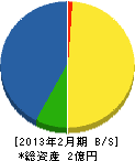 神尾電気 貸借対照表 2013年2月期