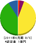 津田組 貸借対照表 2011年6月期