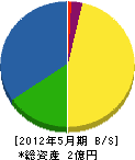 鳥井工務店 貸借対照表 2012年5月期