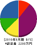 三井電気 貸借対照表 2010年8月期