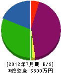 滝沢電気工事 貸借対照表 2012年7月期