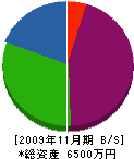 大石住建 貸借対照表 2009年11月期