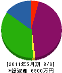 遠藤商店 貸借対照表 2011年5月期