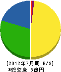 松本建設 貸借対照表 2012年7月期